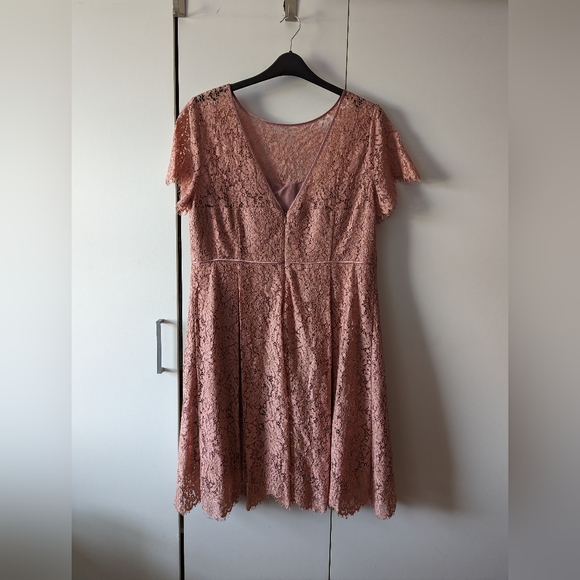 Antique Rose Lace Dress M&S Size 18 - Picture 6 of 10